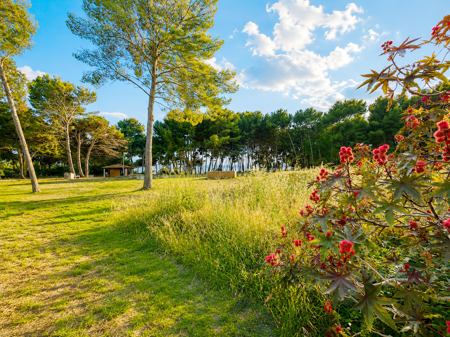 Agence immobilière de SABLETTES IMMOBILIER